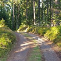 21.9 km Grenzlandwald bei Schönau