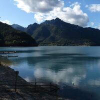 Ledrosee
