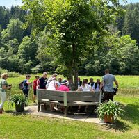 Edlseer-Alm12_Birkfeld_Oststeiermark