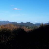 Trifelsblick
