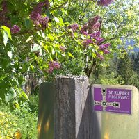 Der Höhenweg ist Teil des Rupert-Pilgerwegs (c)Tourismusverband Annaberg-Lungötz