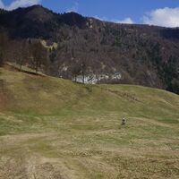 Die Wiesen neben der Malga Grassi