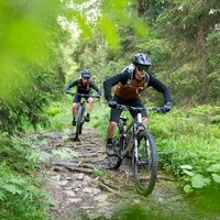 Mountainbike Trail