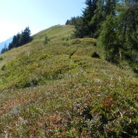 Zuletzt führt der Weg auch noch bergan, aber nicht mehr so steil.