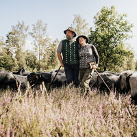 Schäfer Schneverdingen