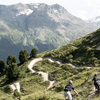 Olympia Flow Trail