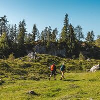 Scheffau_Jägersteig_Walleralm_Wilder Kaiser