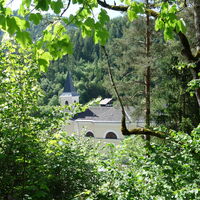 verwachsener Ausblick Gußwerk