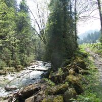 Weg vor Schwarzsee - Alpenpanoramaweg Etappe 19