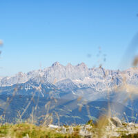 Wunderschöne Aussicht vom Lackenkogel aus auf den Dachstein