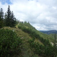 Abzweigung nach Naßwald