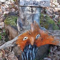 Wörthersee Rundwanderweg Pörtschach - Velden