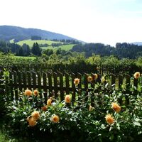 Bauerngarten, St. Kathrein/O., Naturpark Almenland, Oststeiermark