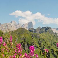Gratweg Buffaure Ciampac Val Jumela ©Archivio APT Val di Fassa