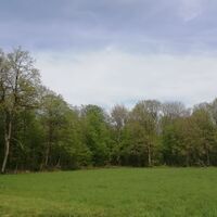 Bienwald-Brunnenweg - Ausblick