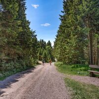 Wanderung zum Schneekopf, Thüringer Wald