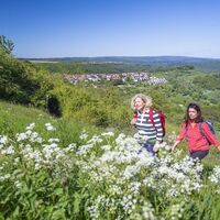 Unterwegs auf der Traumschleife Wehinger Viezpfad