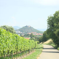 Blick auf den Staufener Schlossberg mit Burgruine