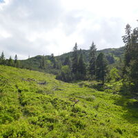ein letzter Rückblick bevor es durch den Wald zum Parkplatz geht