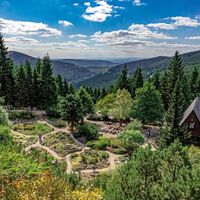 Rennsteiggarten Oberhof, Zentrale Schauanlage