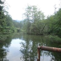 Fischteich beim Parkplatz