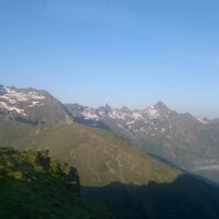 pleschnitzzinken_img_17029741