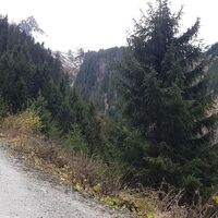 Rechts Weg zur Seebachalm