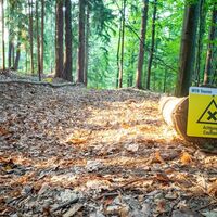3Eiben Hausberg Trail