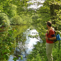 Wanderer in der Natur an der Oste