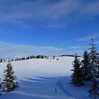 Feistritzsattel - Harterkogel