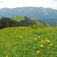 Königskogel und Proles