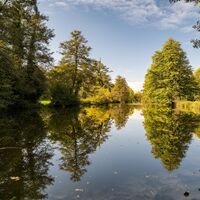 Bienwald - Wasserimpression