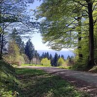 Weiterweg zum GH Menauer