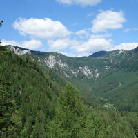 Ausblick von der Forststraße