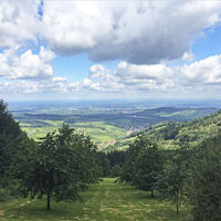 Aussicht ins Rheintal