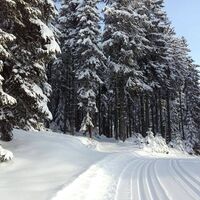 Langlaufen auf der Hebalm