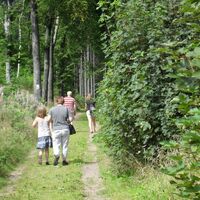 Bob- und Rodelweg Ilmenau