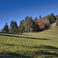 Wir wandern auf den Haneggkogel zu