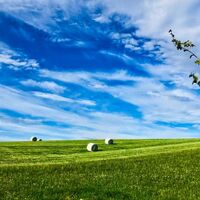 Landschaft am Mühlbergweg