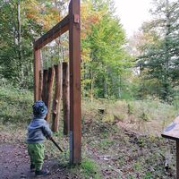 Käfer-Safari/ Waldxylophon