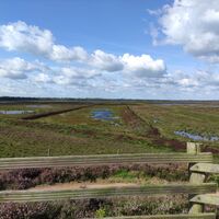 Dalum-Wietmarscher Moor, Geeste