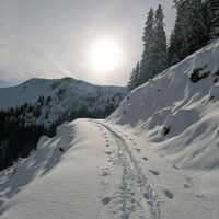 Wildschönau Auffach Grasingalm Skitour Aufstieg