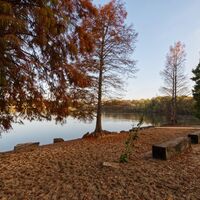 Ufer an der Sechs-Seen-Platte im Herbst