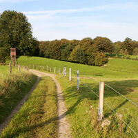 Bergischer Weg bei Niedergrützenbach
