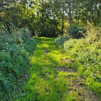 Wanderung Teiche und Sümpfe von Mareuil-Caubert