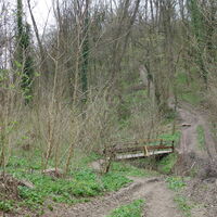am Weg zur Ruine Scharfeneck