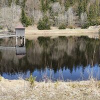 9.1 km Der wildromantisch gelegene Pfaffenstegteich