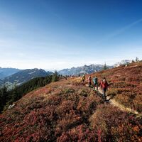 Herbstwanderung zum Muttjöchle