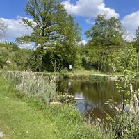 Biberteich an der Sauerland-Waldroute
