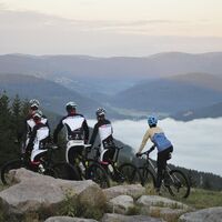 Mountainbiker auf dem Gipfeltrail